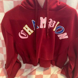 Champion Hoodie